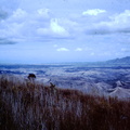 1966 April - fromNausori Highlands