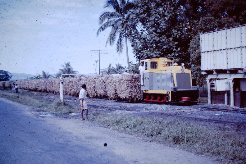 1964 July - sugar cane train Nandi.JPG