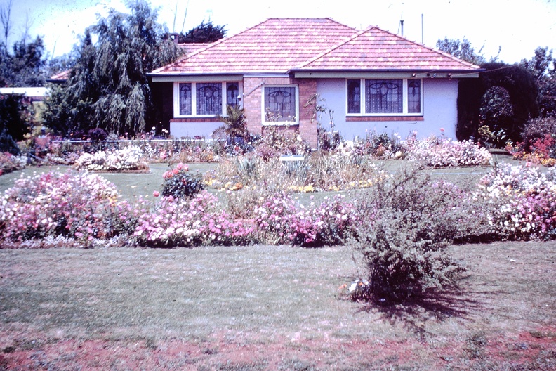 1959_Sept_-_Winning_garden_Toowoomba_Festival_of_Flowers.JPG