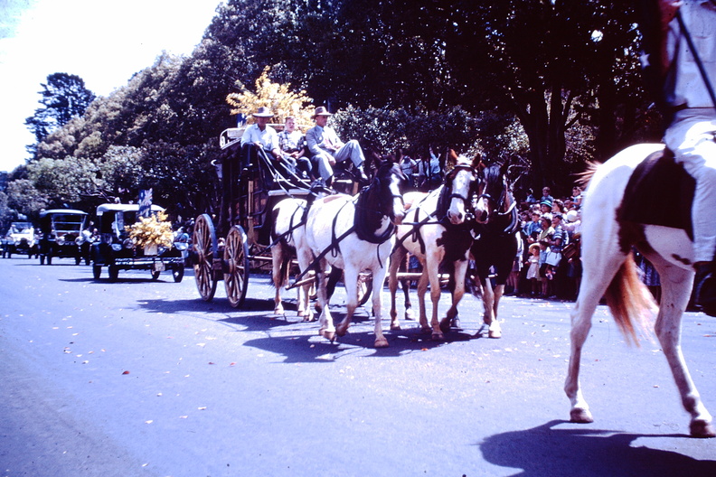1960_Sept_-_Carnival_of_flowers_Toowoomba2.JPG