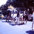 1960 Sept - Carnival of flowers Toowoomba2