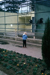 8 michelle dierentuin september 1965