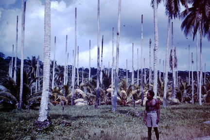 1960 Dec - Banika