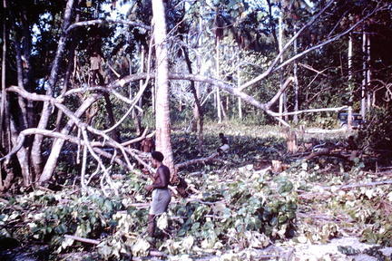 1960 Dec - Rehabilitation Lever Point.