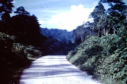 1960 December - Banika Yandina