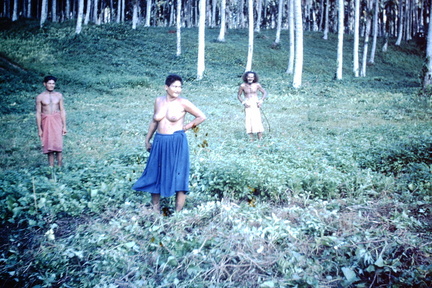 1961 July - Bush women Somata