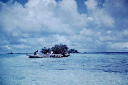 1962 March - reef