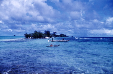 OnTheReef Feb62