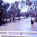 1959 Oct - Myall Creek, Patrick St