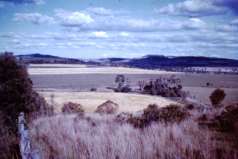 1959 Sept - Contour bank Maelagan District.JPG