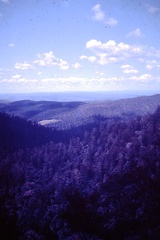 1960 March - Bunya Mountains