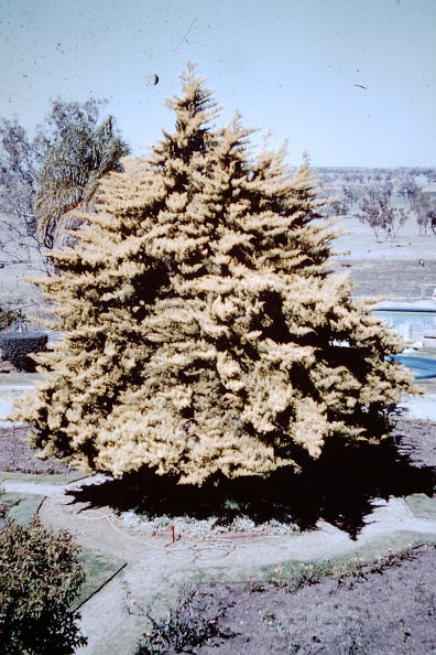 1957_August.JPG