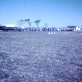 1959 July - Fokker Friendship Dalby-001