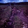 1959 November - eroded Cooranga North