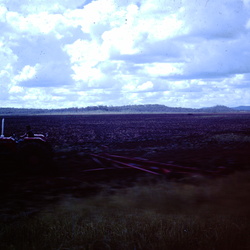 Previous Scans