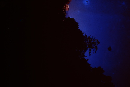 PICT0005