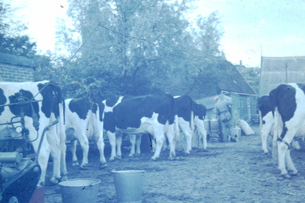 Holland-003