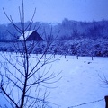 1962 December - Custricum